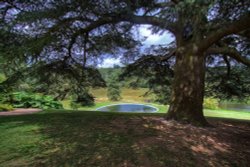 Chartwell House Gardens Wallpaper