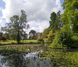 The Mansion Pond, Wakehurst Place, Sussex Wallpaper