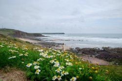 Freshwater West beach near Castlemartin