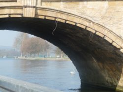 The Bridge at Henley