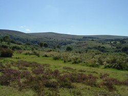 Exmoor, Somerset Wallpaper