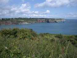 Berry Head, St.Mary's Bay, Brixham Wallpaper