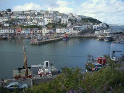 Brixham Wallpaper