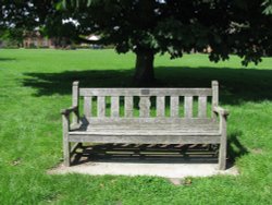 Village Seat on the Green Wallpaper