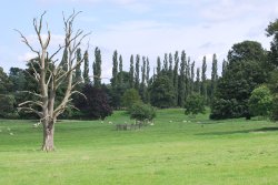 Farmland at Brooksby Wallpaper