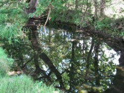 One of Edingthorpes Village Ponds Wallpaper