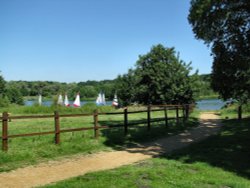 A view of Whitlingham Park Wallpaper