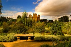 The herb garden Wallpaper