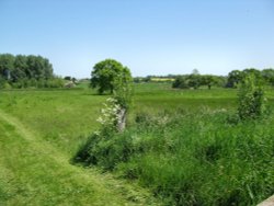 Henstead Marshes Wallpaper