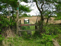 A popular ramblers walk beside the marshes leading to Covehithe Wallpaper