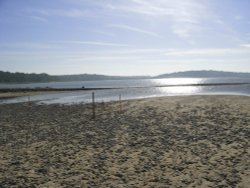 Benacre beach Wallpaper