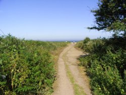 To the beach, a long walk Wallpaper