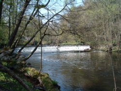 The River Don at Wharncliffe Side Wallpaper