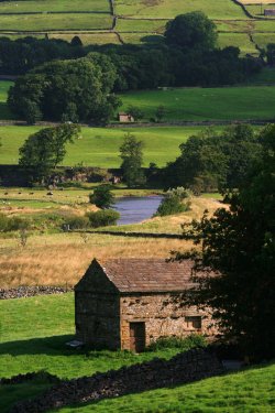 Countryside near Hawes