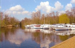 A View of Ludham Wallpaper