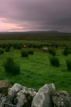 Moorland near Ingleton