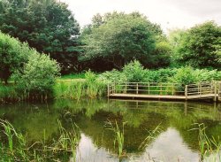 Minsmere Nature Reserve Wallpaper