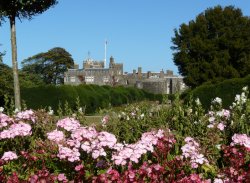 Walmer Castle Wallpaper