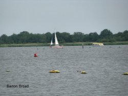 Barton Broad Wallpaper