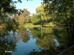 A pond in Brooke Wallpaper