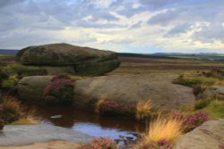 Natural Rock Pool Wallpaper