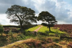 Curber Edge Footpath. Wallpaper