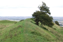 Burrough Hill Fort Wallpaper