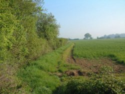 Loves Farm, Aythorpe Roding Wallpaper