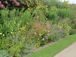 Flowers at Packwood Wallpaper