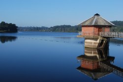 Cropston Reservoir Wallpaper