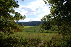 View from the lane at Ribbesford Church Wallpaper