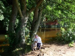 River Otter, Devon