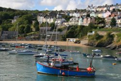 New Quay Harbour Wallpaper