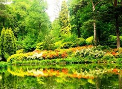 Leonardslee Gardens Wallpaper