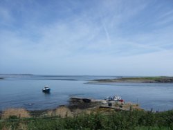 Farne Islands Wallpaper