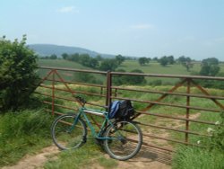 Bike Ride