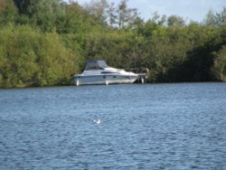 Ranworth Broad Wallpaper