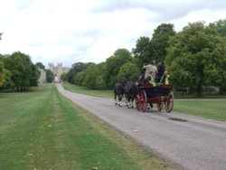 Windsor Great Park