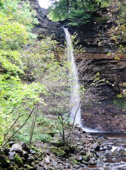 Hardraw Force