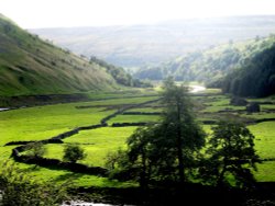 Swaledale