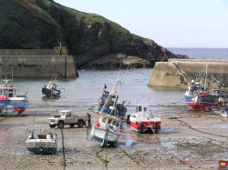 Port Isaac harbour Wallpaper