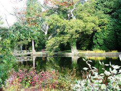 Thorp Perrow Wallpaper