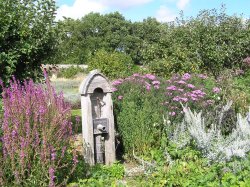 Gardens at Parham House Wallpaper