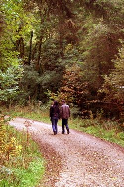 A romantic stroll.