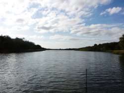 Ormesby Little Broad Wallpaper