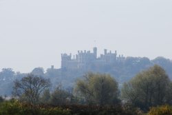 Belvoir Castle from Muston Meadows Wallpaper