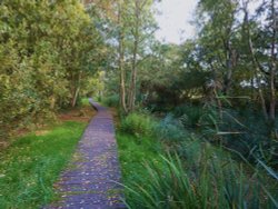 Path to the Broad Wallpaper