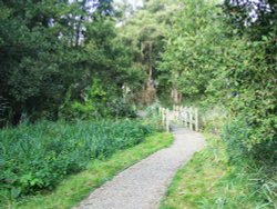 A path by the Broad Wallpaper