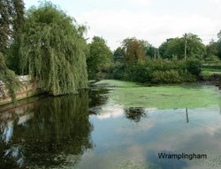 Wramplingham Pond. Wallpaper