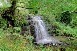 Waterfall at Roche Abbey